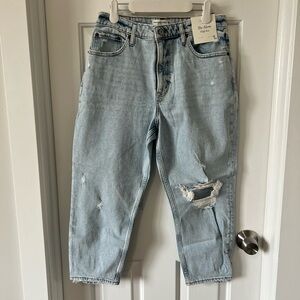 Abercrombie & Fitch Curve Love The Mom High Rise Light Blue Distressed Jeans
